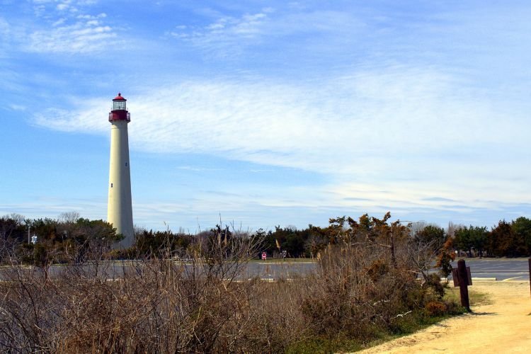 Boardwalk trail and observation platform at Cape May Point State Park