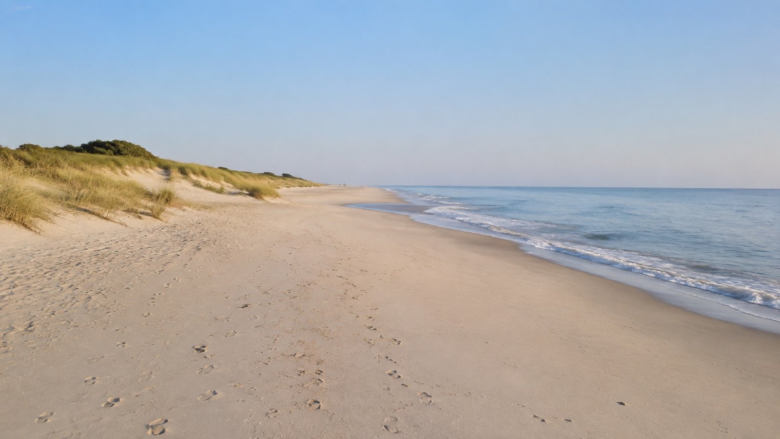 Calm water and dune-backed shoreline near Cape May for paddling
